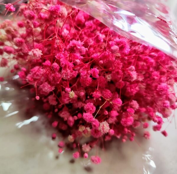 6011 Ramo Flores Secas Naturales