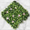 BF-512 Palmeta Plantas Degrade y Flores Rosas