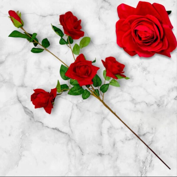 WhatsApp Image 2025-10-27 at 3.54.20 PM 5111 Rama Larga con 5 Rosas de Terciopelo