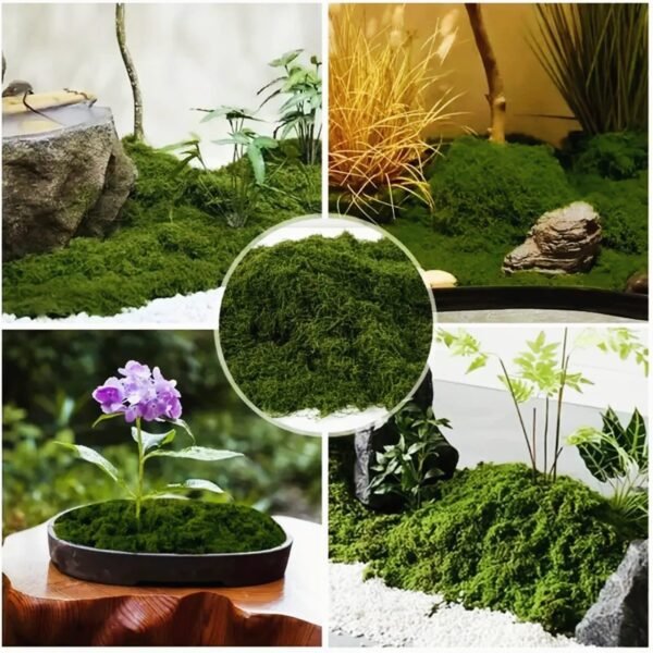 KW9026 Tapete de Musgo Artificial 1x1 metro