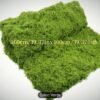 KW9026 Tapete de Musgo Artificial 1x1 metro