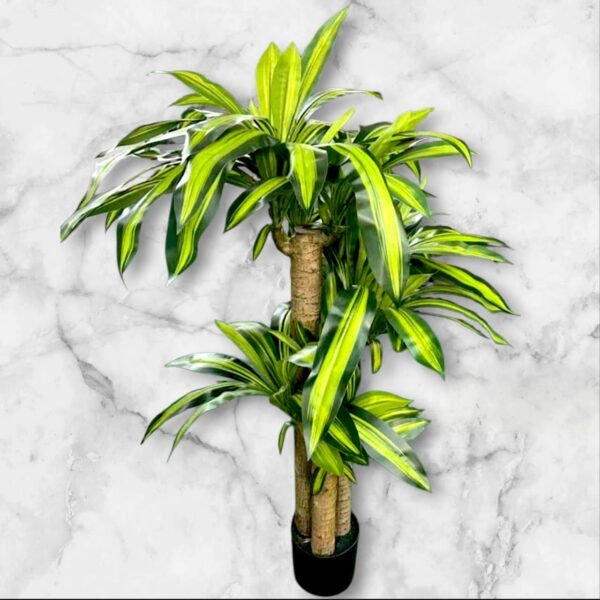 WhatsApp Image 2025-12-29 at 1.56.25 PM 1327-4 Palo de Agua Grande con 3 Ramas