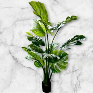 1308-5 Monstera Deliciosa Grande 150 Cms.