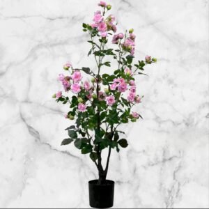 2102-5 Arbusto de Rosal Grande - 160 Cms.