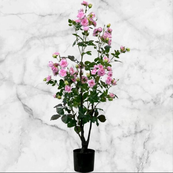 2102-5 Arbusto de Rosal Grande - 160 Cms.