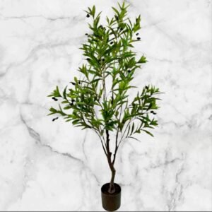 A1803 Árbol Pequeño Olivo - 145 Cms.