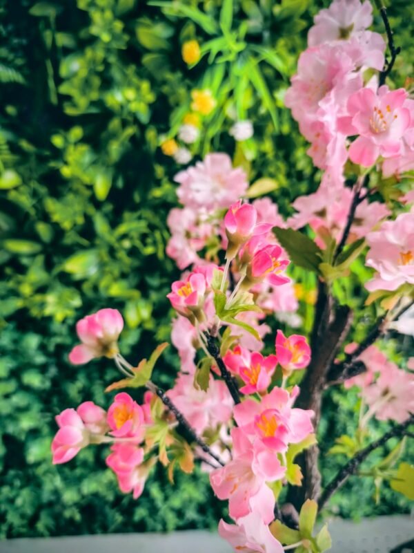 BF0008 Árbol de Cerezo Pequeño - 60 Cms.
