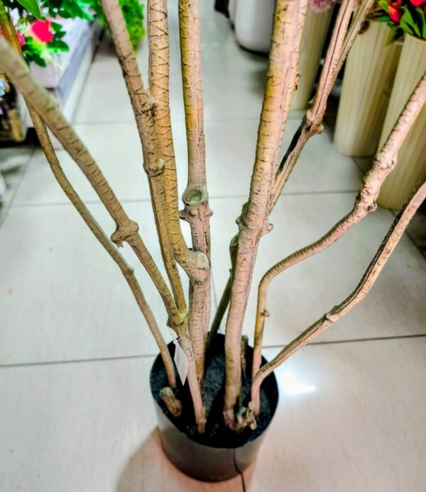 1304 Palmera Dracaena Varias Ramas - 160 Cms