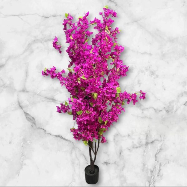 2106-6 Árbol Bugambilias Fucsia 170 Cms