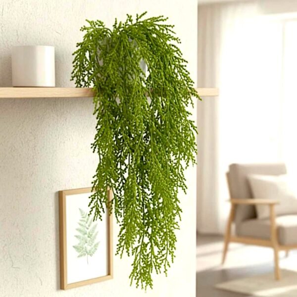 WhatsApp Image 2026-01-15 at 4.47.26 PM 8015 Rama de Rosario Abundante cantidad de Perlitas