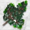 WhatsApp Image 2026-01-22 at 4.00.06 PM (1) BF-47 Set de 12 Ramas con Hojas de Verde Profundo 60 Cms de largo