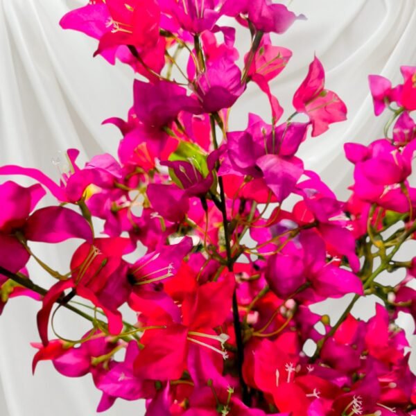 2106-6 Árbol de Bugambilias Bicolor en Tono Rojo y Fucsia 170 Cms