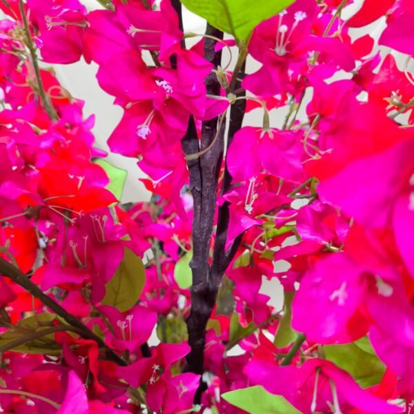 2106-6 Árbol de Bugambilias Bicolor en Tono Rojo y Fucsia 170 Cms