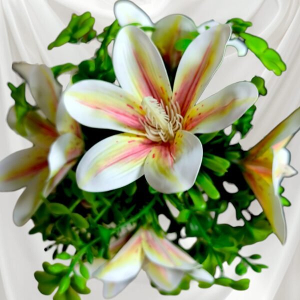 BY0503001 Planta de Lirios con Maceta