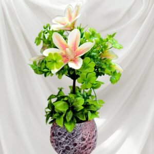 BY0503001 Planta de Lirios con Maceta