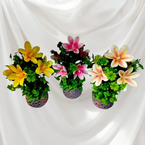 BY0503001 Planta de Lirios con Maceta