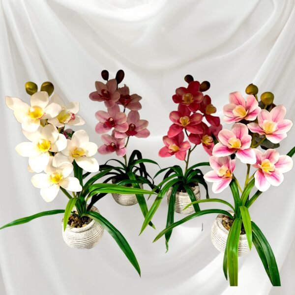 BY0503004 Planta de Orquídeas con Maceta