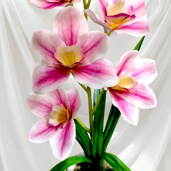 BY0503004 Planta de Orquídeas con Maceta