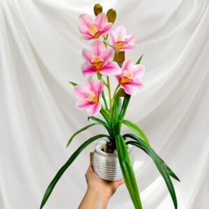 BY0503004 Planta de Orquídeas con Maceta