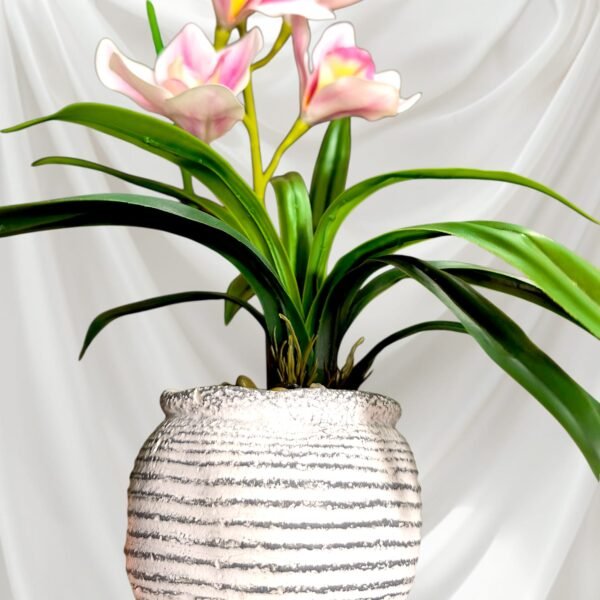 BY0503004 Planta de Orquídeas con Maceta