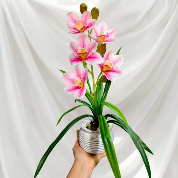 BY0503004 Planta de Orquídeas con Maceta