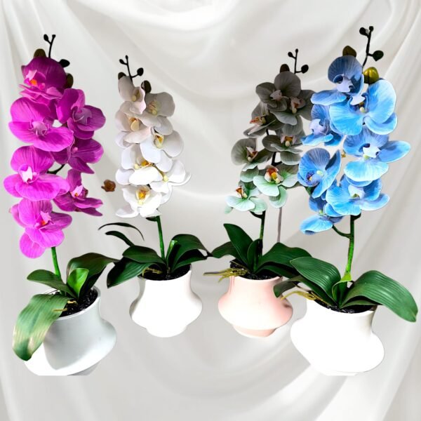 BY0503005 Planta de Orquídeas con Maceta Grande