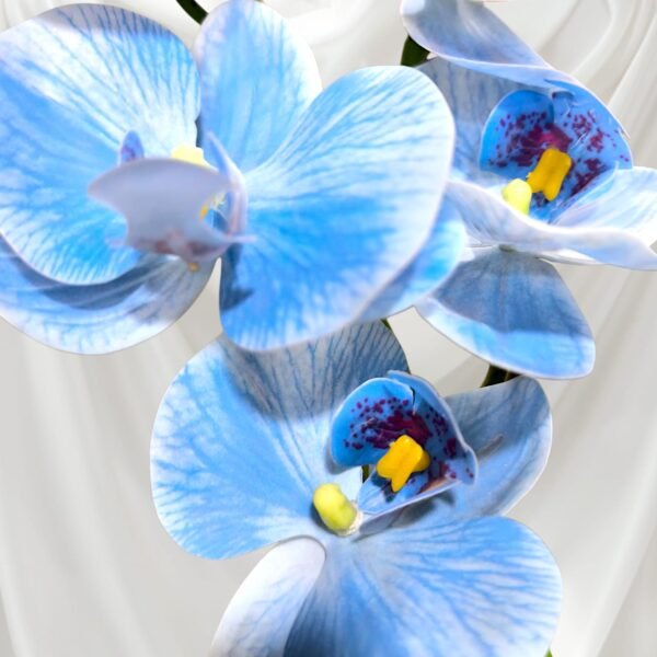 BY0503005 Planta de Orquídeas con Maceta Grande