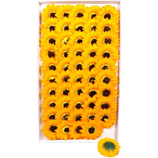 IMG-20260817-WA0062 0117 Caja de Girasoles de Jabón