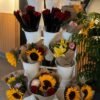 EX-1 Exhibidor Vertical de Flores con 15 Macetas