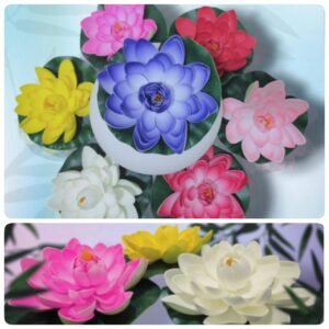 IMG-20261001-WA0066 157 Flor de Loto Flotante