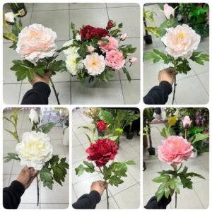BF0014 Peonia Grande Premium con Boton y Hojas