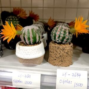 IMG-20261021-WA0051 LY-7681 Cactus Pequeño con Flor Maceta Ceramica Textura Tejida
